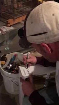 How to change Carrier or Bryant air filter