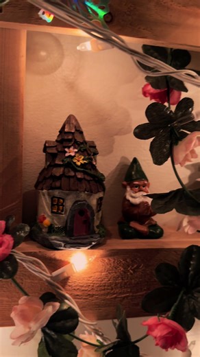 My husband built this trellis for me and I initially had big plans for it. However, you can see it’s not as full as it could be but I need ideas on what else I can add to this!