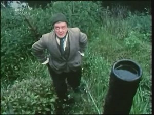 Last Of The Summer Wine