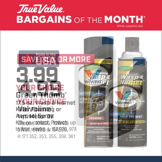 🌞 Summer just got hotter with our sizzling deals! Find these Bargains of the Month at your local participating True Value store today! #HereForYou #TrueValue | True Value