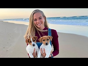 Why do Afrikaners stay in South Africa?