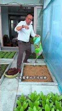 Soil mixing techniques#Let me show you my little vegetable garden#Creator Center#To grow