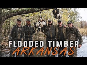 Duck Hunting in the Arkansas Timber
