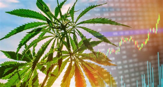 Top 3 Marijuana Stocks To Buy While Things Are Getting Started In 2026