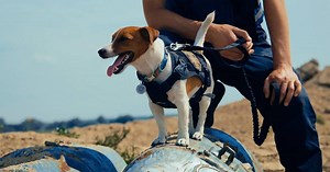 Meet Patron, the Ukrainian War Hero