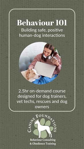 Canine Basic Behaviour 101 On-Demand through Georgian College ...