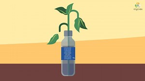 212K views · 396 reactions | What do you do after using the PET bottles? Throw it outside or into the dustbin? Please do NOT. Here are a few tips what you can do with these PET bottles. Be a responsible citizen. | Recycle India Foundation | Facebook