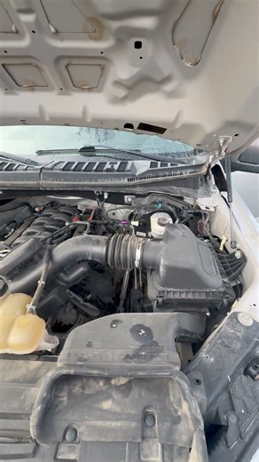 GovDeals: 2019 Ford F-150 XL SuperCrew 6.5-ft. Bed 4WD