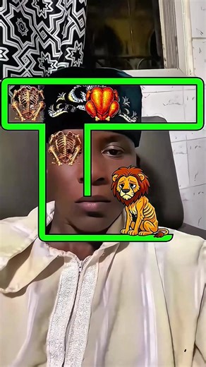 #capcut #capcutpioneer Save the Lion is so hard 🤯🤔👉 Save the Lion Filter Challenge: Can You Complete It? The Save the Lion filter challenge has taken the social media world by storm! This engaging filter presents an intriguing test, pushing participants to save the lion through a series of fun tasks. What makes the Save the Lion challenge stand out is its playful yet demanding nature. It captures the attention of participants who are eager to contribute their efforts to 'save' the iconic anim