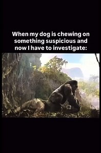 Danny Watson on Reels