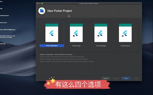 第二讲 Flutter应用开发 从0到1架构 Flutter项目创建、Android Studio的基本断点调试 应用图标更换、应用名称修改