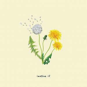 gnash (Garrett Nash) / ナッシュ（ギャレット・ナッシュ）「imagine if / イマジン・イフ」 | Warner Music Japan