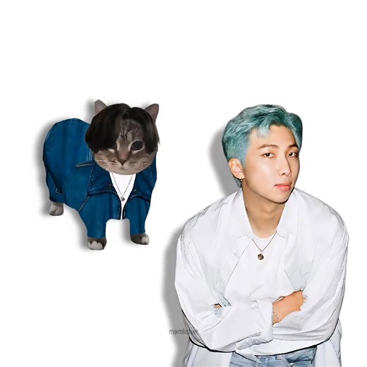 BTS Dynamite Oiiai Cat Remix – Unforgettable Mashup