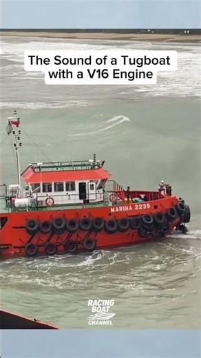 Tugboat Racing 🔥 #automobile #powerboat #racingboat #tugboat