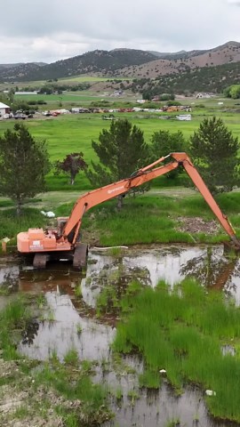 Stuck in a Swamp—Can This Excavator Be Saved?