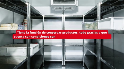 Cámara de refrigeración; conservación en el almacenamiento de productos