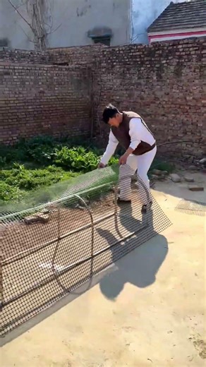 Build a DIY Chicken Tunnel in Seconds! 🐔✨