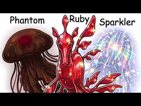 Every Newly Discovered Sea Animal Explained 17