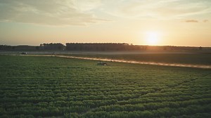 430 reactions · 14 shares | Introducing new Splenda Stevia. Grown by U.S. farmers to help people reduce sugar, our plants are sweetened by sunshine to make a delicious zero-calorie sweetener. Experience the great taste of Splenda Stevia! | Splenda | Facebook