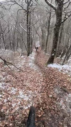 Freeride in snow with bro’s #freeride #freeridemtb #mtb #snow