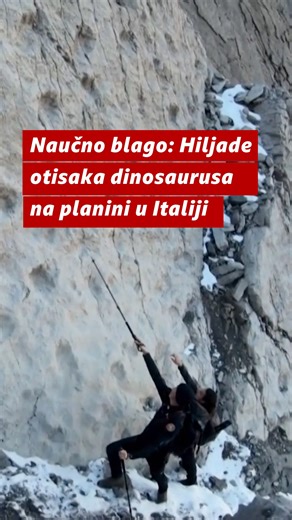 BBC News na srpskom on Instagram: "Spektakularno otkriće 🦖 🇮🇹 Hiljade otisaka dinosaurusa, starih oko 210 miliona godina, pronađeni su u nacinalnom parku na severu Italije. Na otiscima, od kojih su neki prečnika I do 40 centimetara, jasno su vidljivi tragovi prstiju i kandži. Nacionalni park Stelvio je u dolini Fraele, na granici Italije sa Švajcarskom, u blizini mesta gde će biti održane Zimske olimpijske igre početkom 2026. Prema saopštenju italijanskog Ministarstva kulture, područje je uda