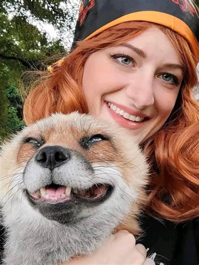 It is with the heaviest of hearts that we announce the passing of our beloved Finnegan Fox. First I want to apologize for taking so long to make the announcement, Finnegan passed about 2 months ago. Dealing with the loss of my wife and favorite animal while editing this video has been impossibly hard. We love you Finnegan 🦊🧡 If you are willing or able to donate to help reimburse for all of the medical expenses we incurred that would be greatly appreciated, also I wanted to note all of Finnegan