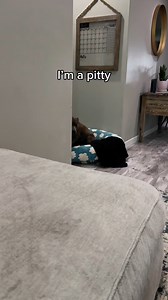 66K views · 3.4K reactions | I’m a Pitty | Ratchy.d.pit | Facebook
