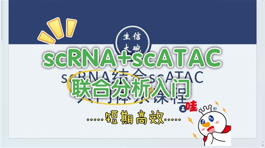 挑战|10天入门单细胞转录组 单细胞ATAC联合分析(一)