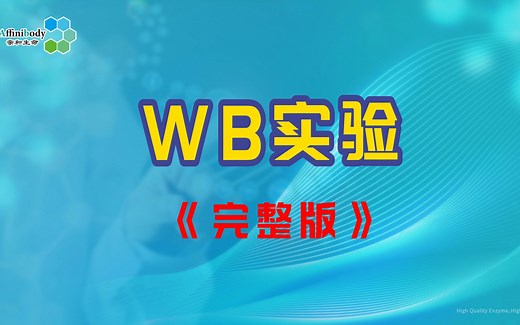 实验室日常|wb实验详细操作流程完整版！科研人必看的wb制胶-电泳-转膜实验，赶紧收藏起来吧