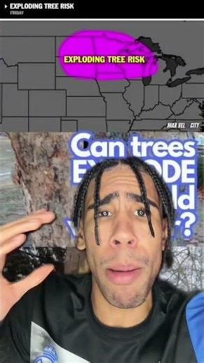 We have Exploding Trees in 2026