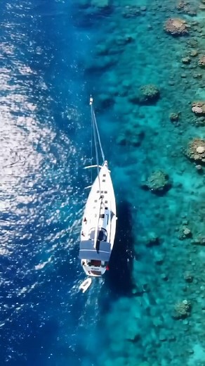 4.5K views · 49 reactions | ⛵ "Sailing over nature’s masterpiece — where the ocean paints in color!" From above, a sailboat glides across a living canvas — crystal-clear turquoise water, vibrant corals, and shimmering fish below. Pure tropical magic. #CoralReefSailing #TurquoiseDream #OceanFromAbove #SailingBeauty #UnderwaterWonder #TropicalVibes #AerialAdventure #NatureInColor | Love Sailing | Facebook