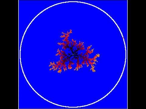 Diffusion Limited Aggregation