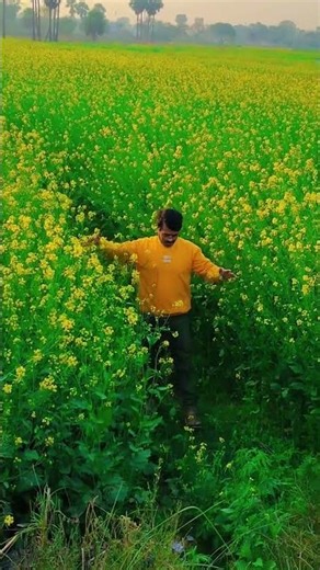 Filmy style 😯😍 #shorts #filmyvibes #gaavlife