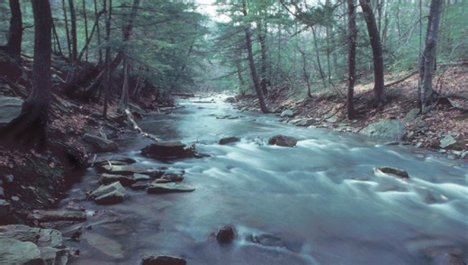 “French Walk,” a Poem by Anna Lena Phillips Bell
