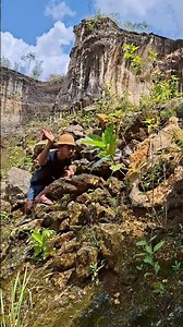 discovery of jungle fowl #shortvideo