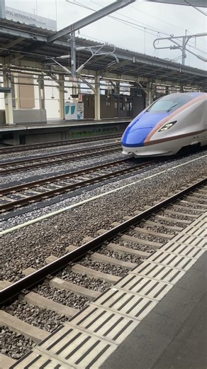 E7系 高崎駅通過シーン#鉄道 #shorts #しんかんせん #上越新幹線