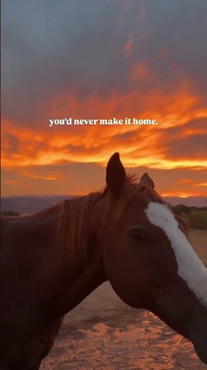 "Sundays" by Josiah Queen, thank you @mtndogfarm for posting this video.