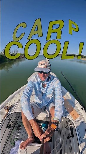 Fishing Lake Ray Roberts The Weekend Report From the Lake - Coves Have Carp but no Sand Bass Blitzes