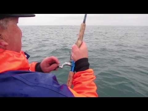 Soft Bait Basics: Casting & lure techniques, with Mark Kitteridge