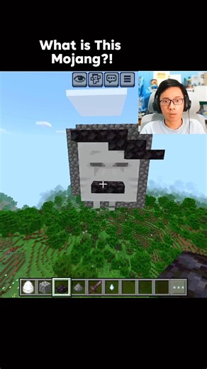 What is This Mojang?! 💀 #shorts