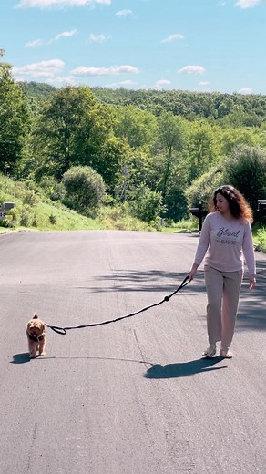 Dr. Vidya Pradeep on Instagram: "🐶🤍"