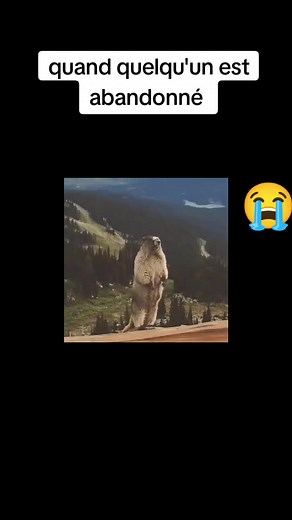 mmmm la vie #viral #videoviral #viraltiktok