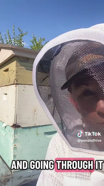 Effective Strategies for Replacing Beekeeping Boxes