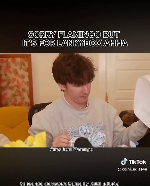 Unboxing the Best Flamingo Toys and Merch