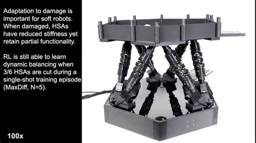 Real-Time Reinforcement Learning for Dynamic Tasks with a Parallel Soft Robot | James Avtges