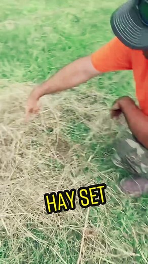 Understanding the Hay Set in Trapping Techniques