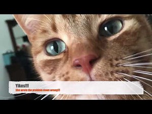 DE 4.2 - Reduction of Order