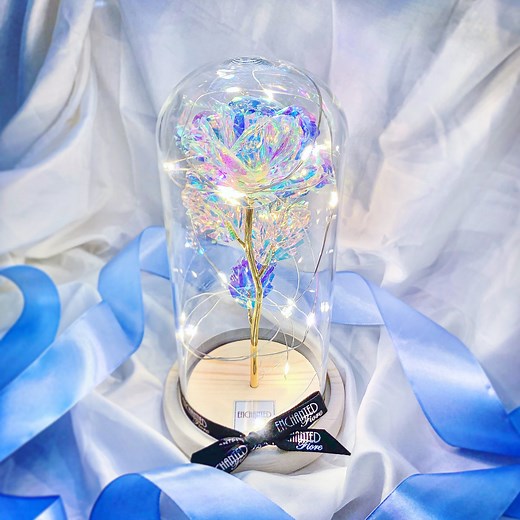 The Original 24K Enchanted Galaxy Rose