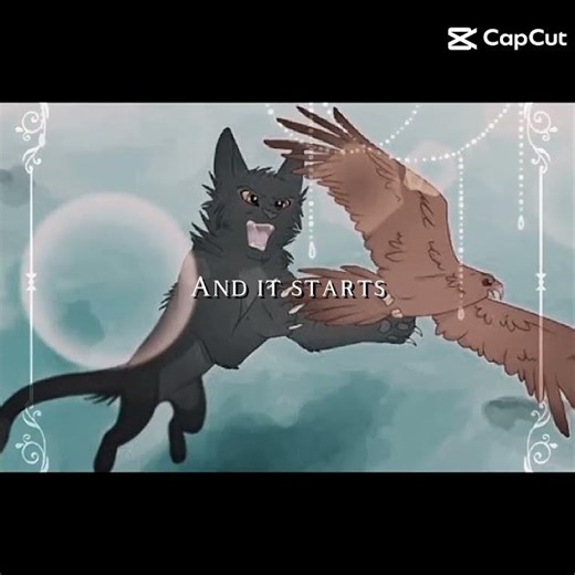 Warrior Cats #warriorcatsart#waca #warriorcatsedit