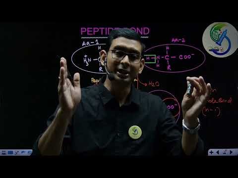 PEPTIDE PBOND : NEET Biology